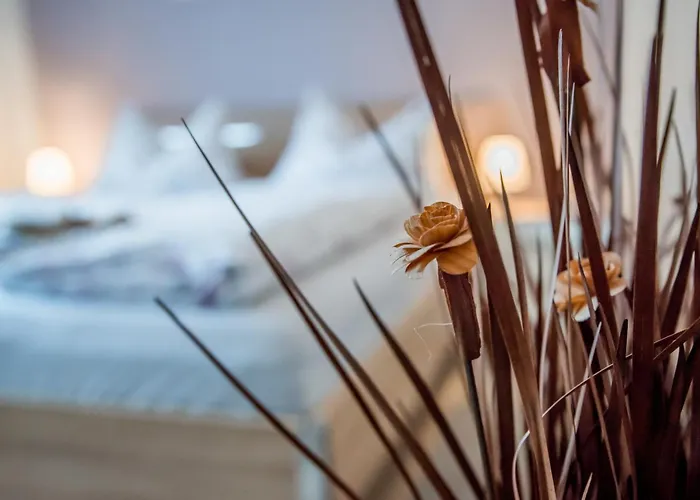 Haus Avallon アパート コッヘム